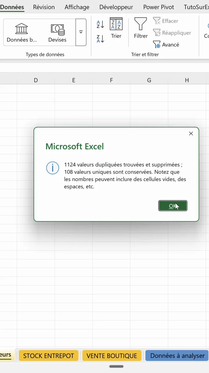 Message de confirmation Excel indiquant 1124 valeurs dupliquées supprimées et 108 valeurs uniques conservées